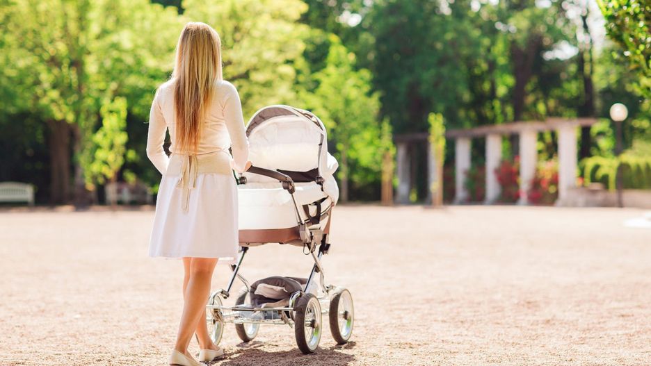 Wózek wielofunkcyjny do 2000 zł