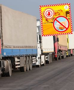 25 negatywnych decyzji ws. produktów z Ukrainy. Wykryto rażące błędy