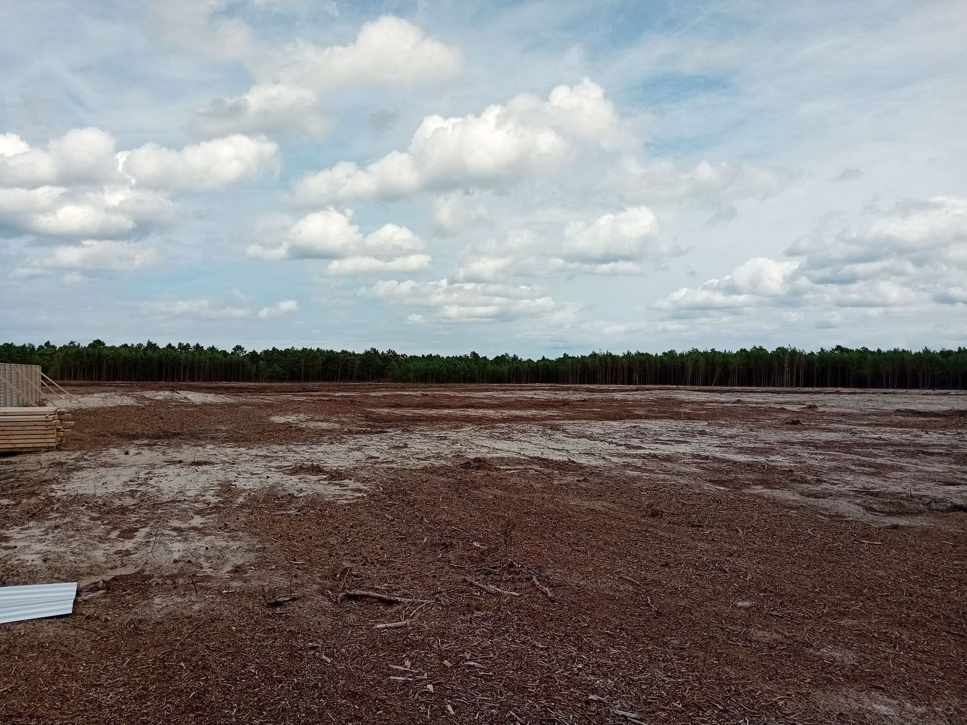 Słajszewo - las po wycince