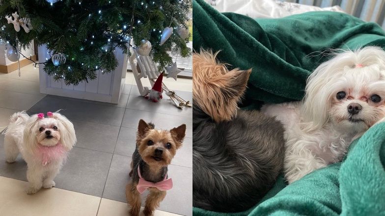 Tak mieszkają Adam i Izabela Małyszowie