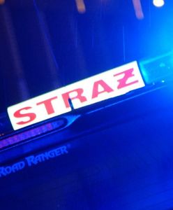 Wypadek w zakładach mięsnych. Noga 41-latki utknęła w maszynie