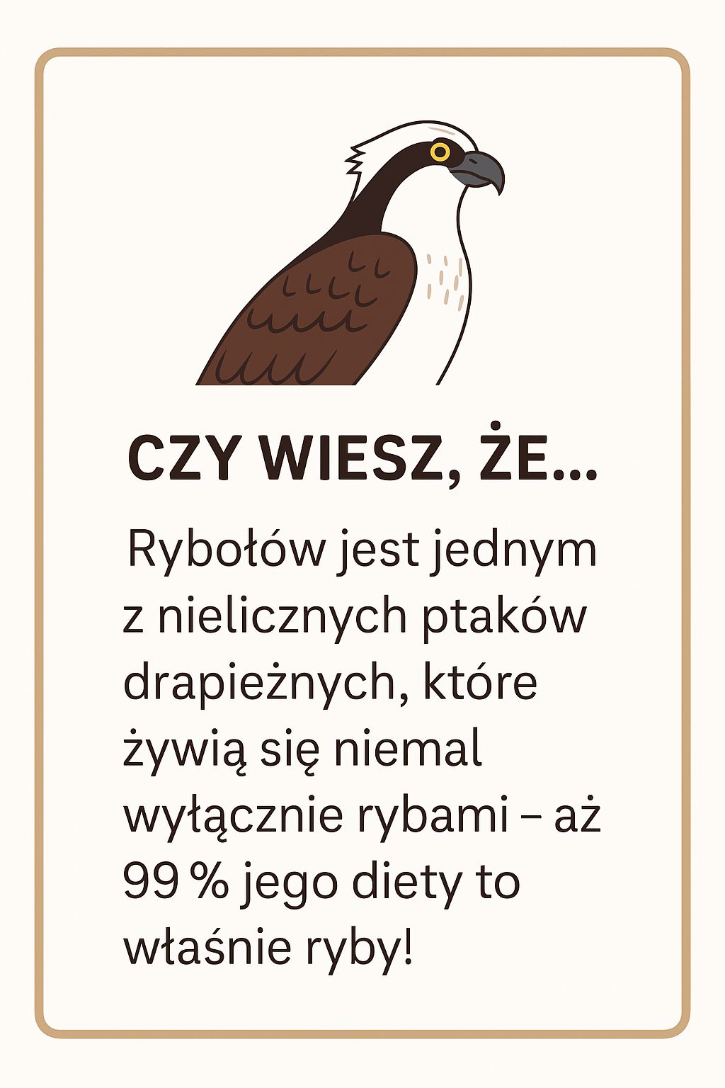 infografika, rybołowy