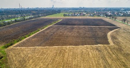 Dzień Ziemi. Wrocław zyska "zielone płuca". Rozpoczęły się nasadzenia na Osobowicach