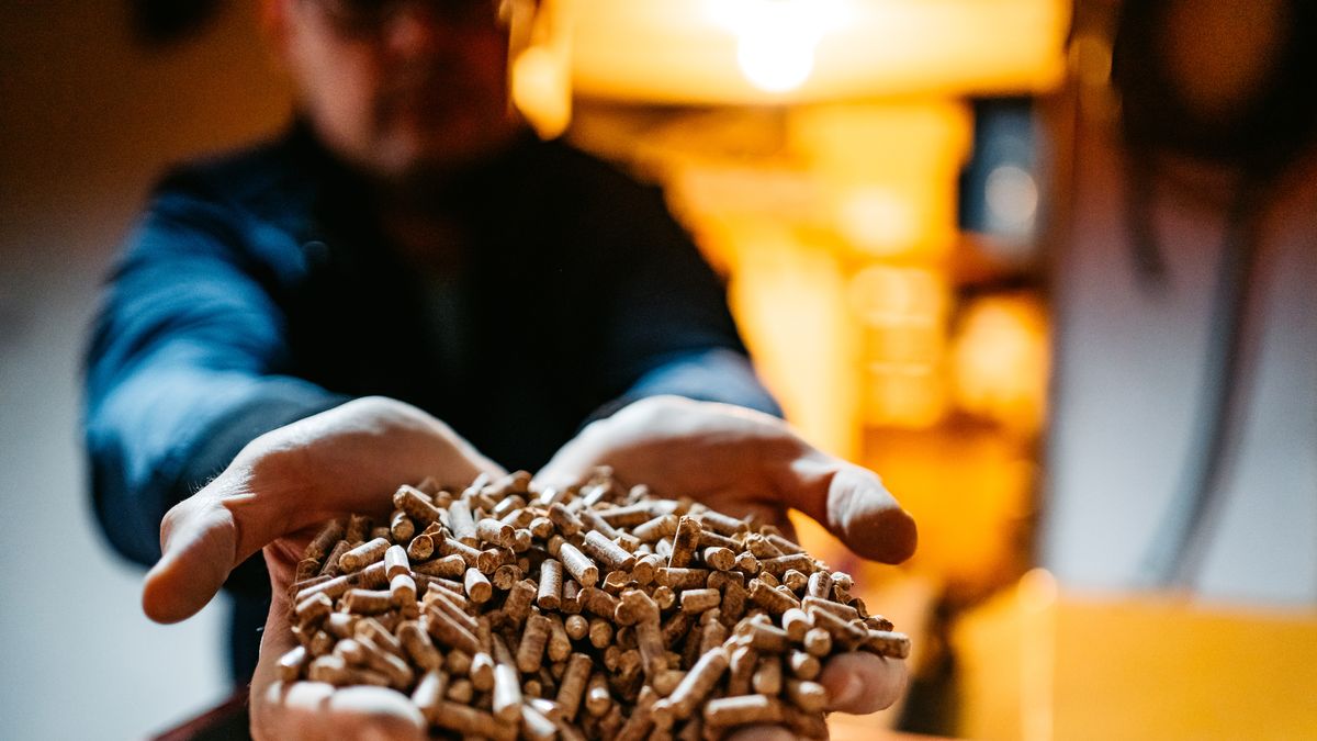 Wood pellets in hands
A man holds wood pellets in his hands. Biofuels. Renewable energy source. Pressed sawdust for industrial use. Alternative bio fuel. Wood filler used in cat litter.
urbazon