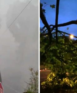 Zalane ulice i powalone drzewa. Potężna nawałnica w Berlinie