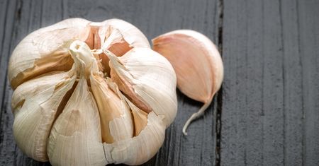 Czosnek jak naturalna penicylina
