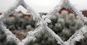 Podlasie: Za nami bardzo zimna noc. Temperatura spadła do minus 20 stopni Celsjusza. Idzie ocieplenie, ale może być ślisko