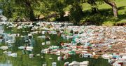 Ekologiczny plastik też szkodzi. Szczególnie rybom