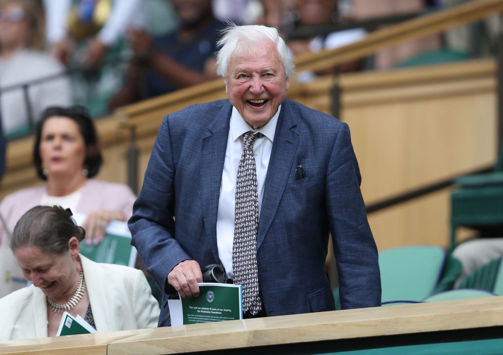 David Attenborough kończy sto lat. Mówi, jaki jest sekret