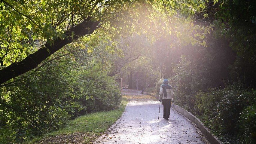 Historyczna twierdza z dziką roślinnością. Park Fosa i Stoki Cytadeli w Warszawie