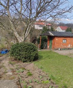 Podpalił twarz zapalniczką. Makabryczne sceny na ogródkach działkowych