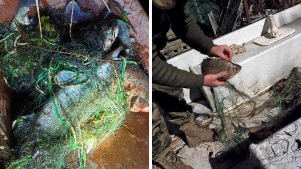 Nielegalny połów ryb na Wiśle. 47-latek zatrzymany dzięki szybkiej reakcji Społecznej Straży Rybackiej