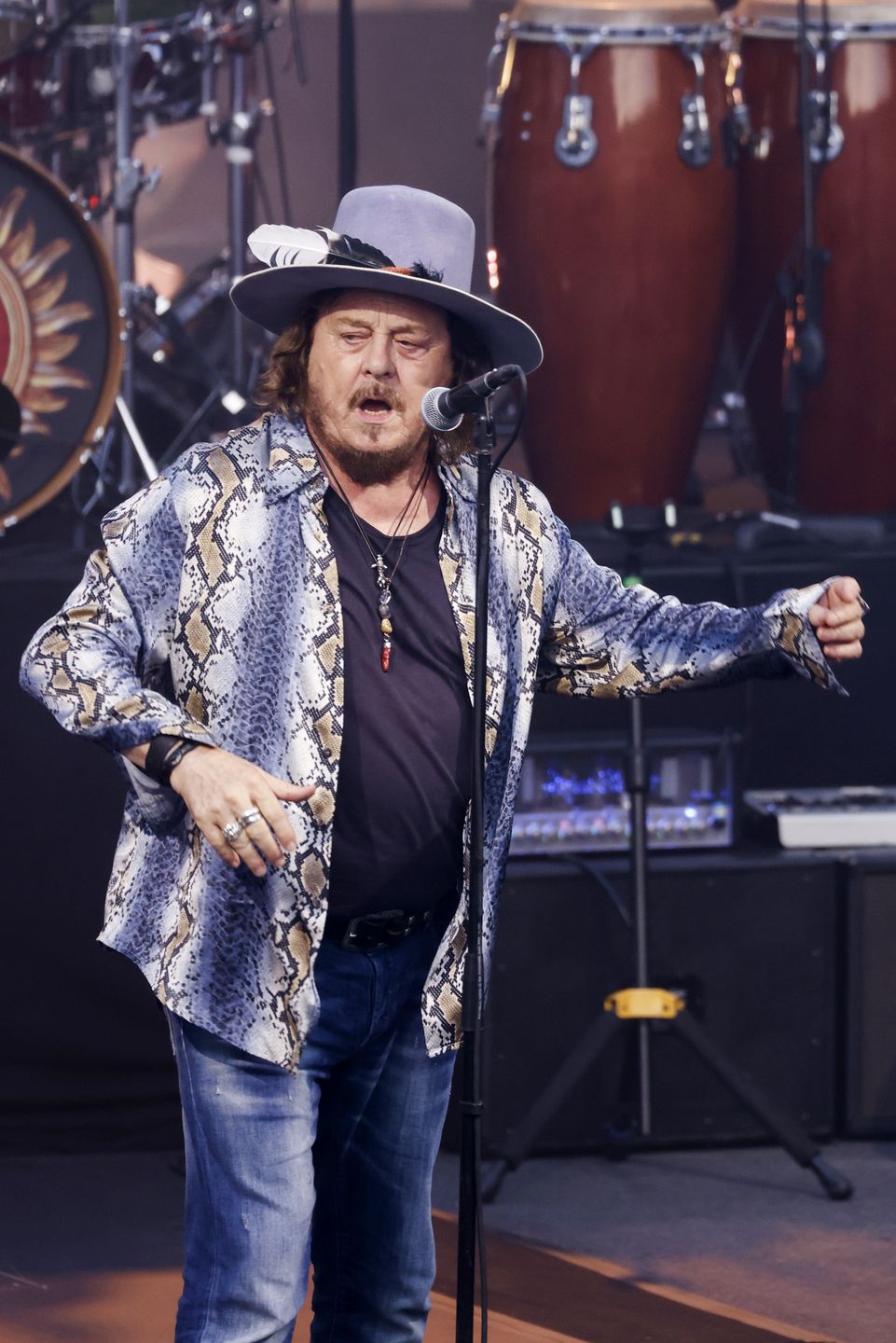 Zucchero Fornaciari