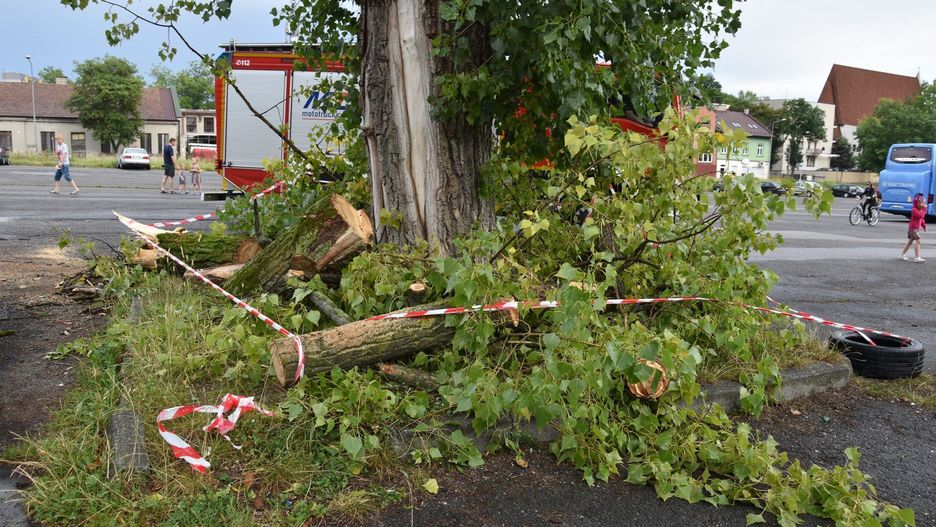 Burze mogą przynieść niebezpieczeństwo. Nie chowaj się pod drzewami