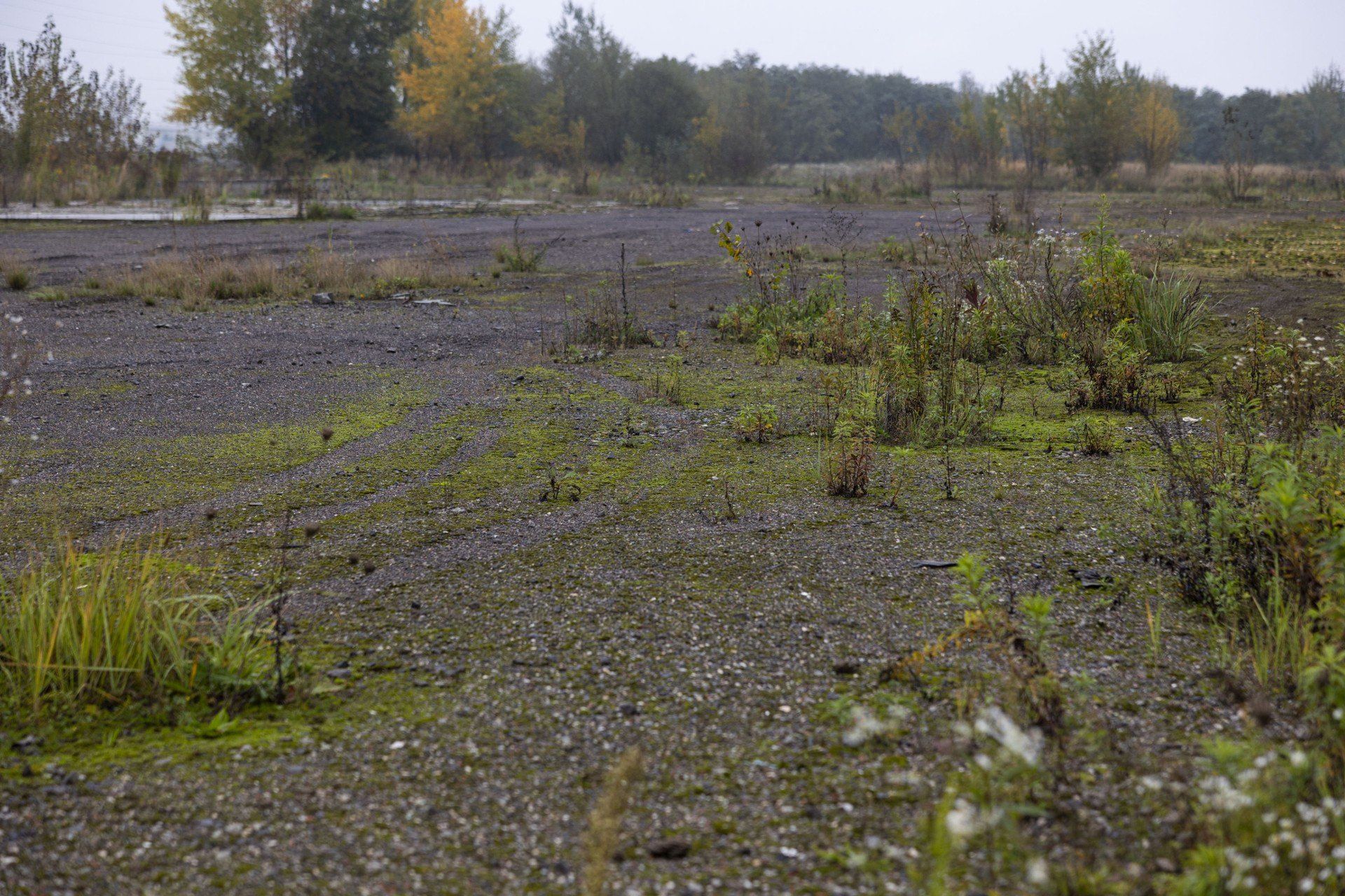 Teren nad Drwiną w Krakowie