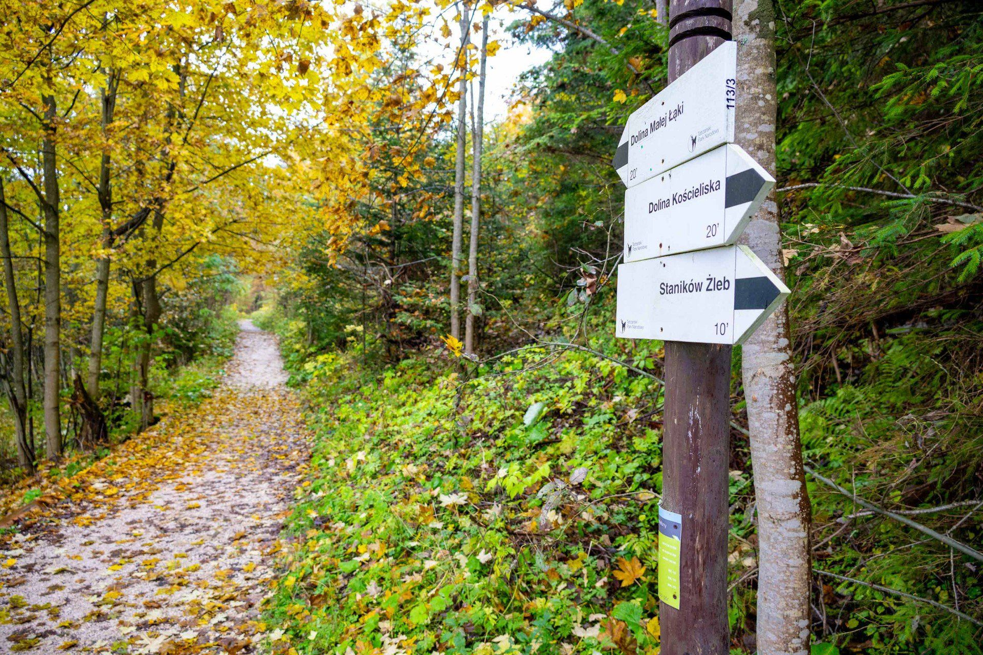 Wybierając trasę na weekendową wycieczkę w góry warto wiedzieć, co oznaczają kolory szlaków turystycznych.