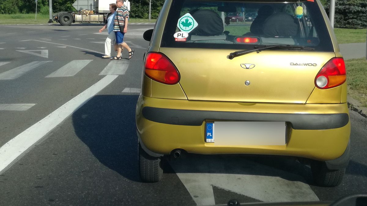 Czy zielony listek wróci w innym znaczeniu niż do tej pory? To możliwe, ale na razie nie wiadomo nic pewnego