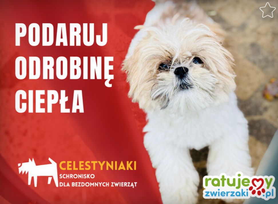 Zbiórka na podopiecznych schroniska w Celestynowie