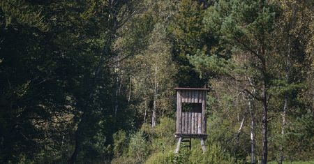 Straszny wypadek na polowaniu w Łódzkiem. Holender usłyszał zarzut