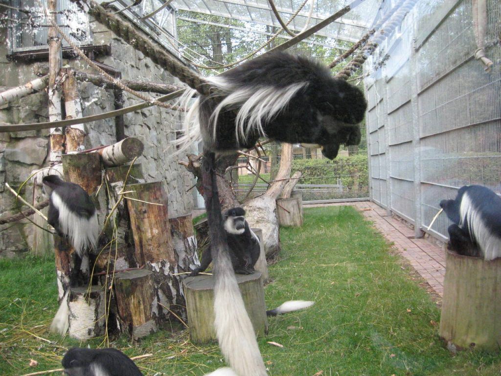 Śląski Ogród Zoologiczny w Chorzowie