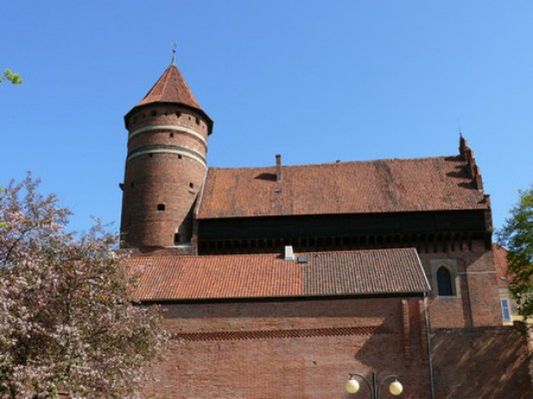 Obraz