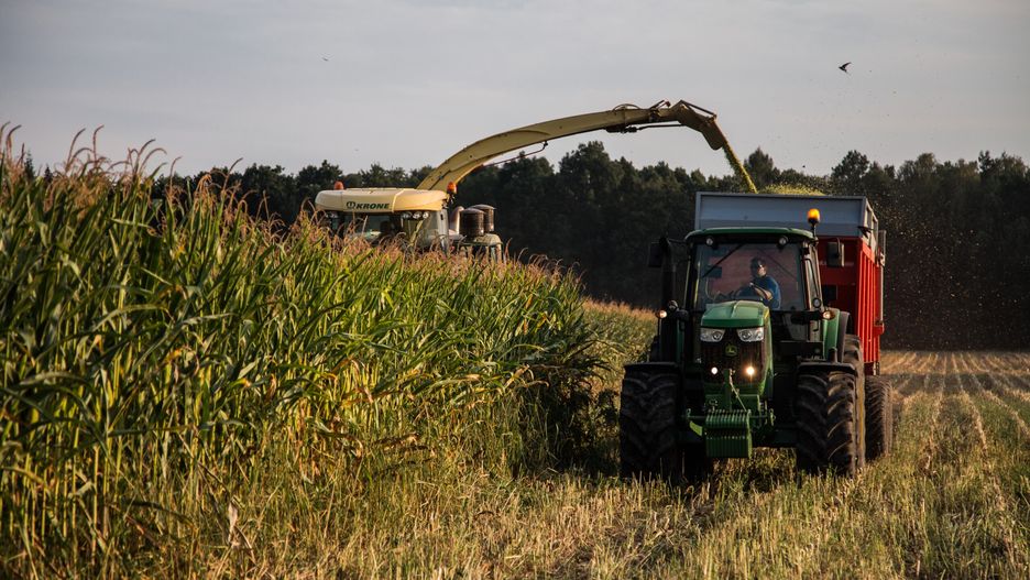 rolnicy w maszynach, ciągnik John Deere, sieczkarnia krone