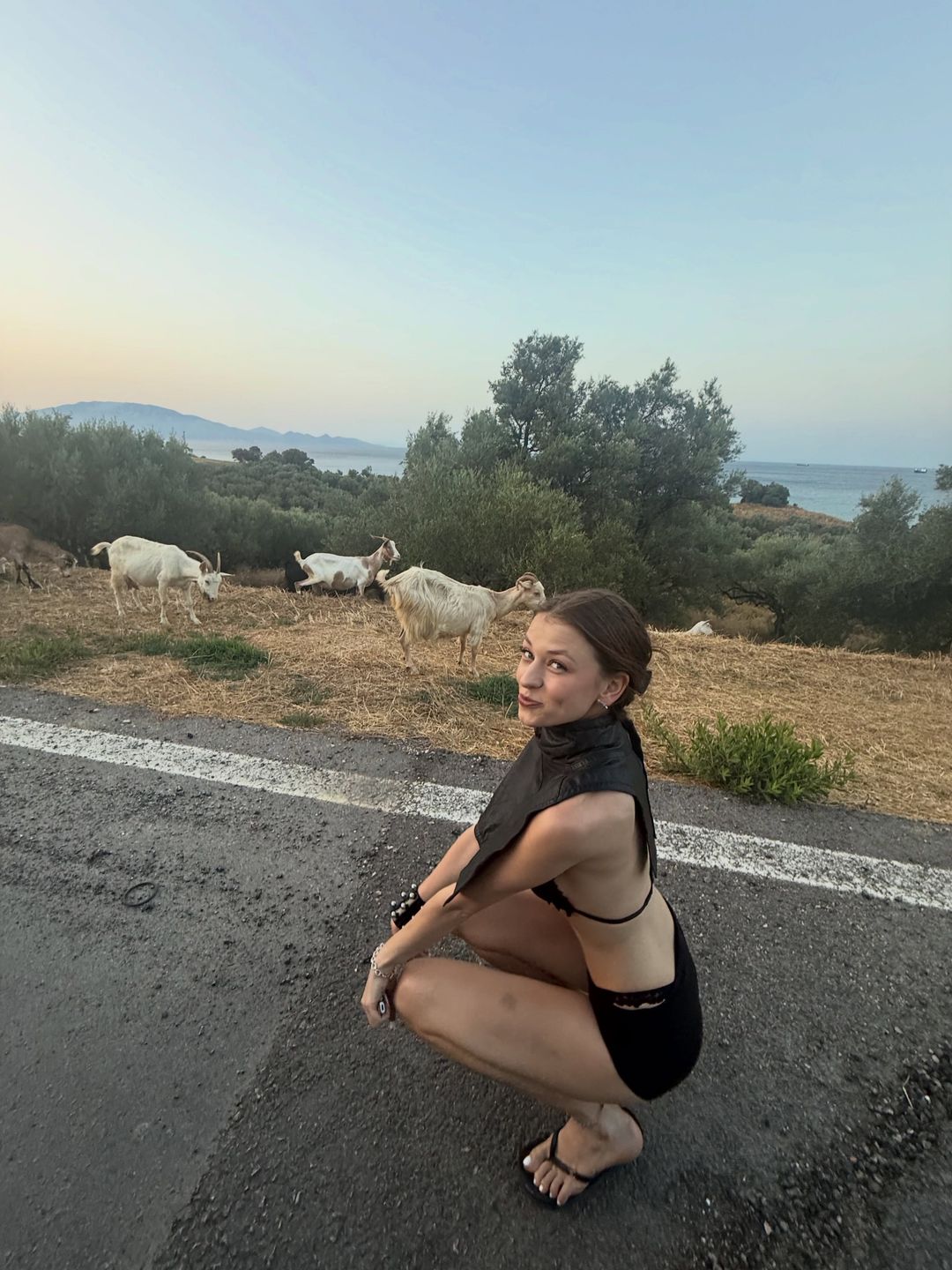 bambi
