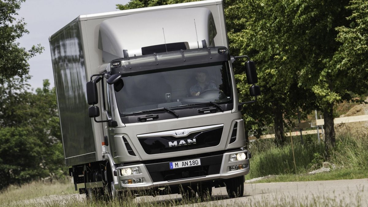 Kary dla kierowców posługujących się kartą kierowcy są znacznie wyższe niż mandaty dla kierujących autami osobowymi.