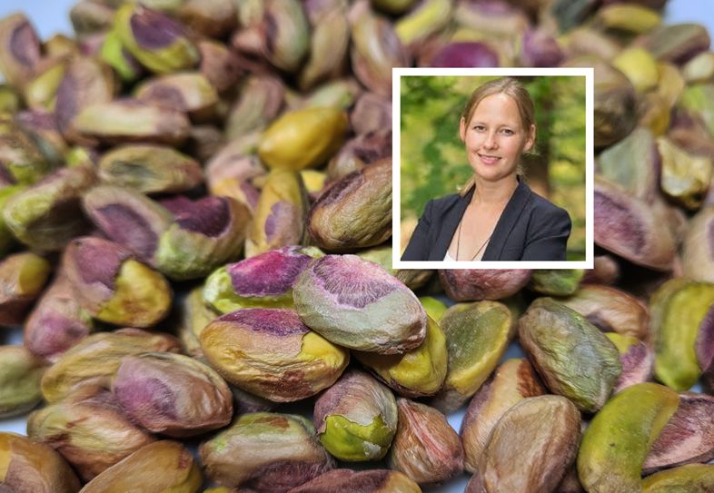 Pistacje wspierają jelita i chronią przed cukrzycą