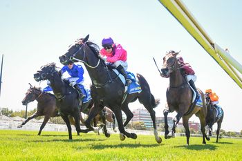 Koń uśpiony po wyścigu. Prokuratura wszczyna śledztwo