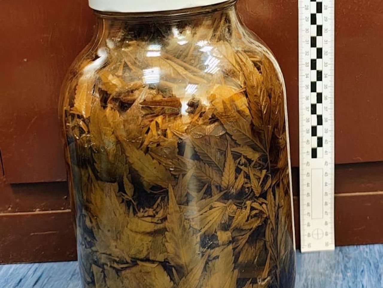 Pacanów: Narkotyki w domu 47-latka. 700 gramów marihuany i słoje z nalewką konopną