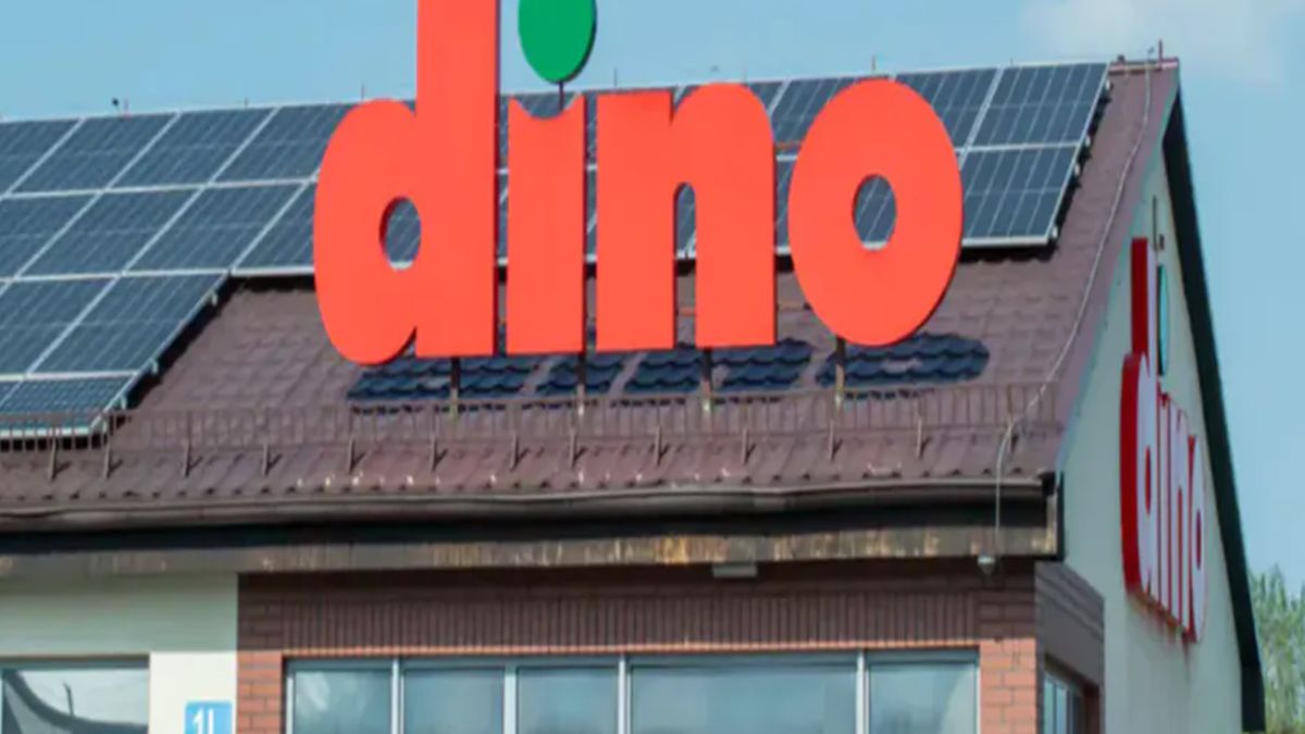 Promocje w Dino.