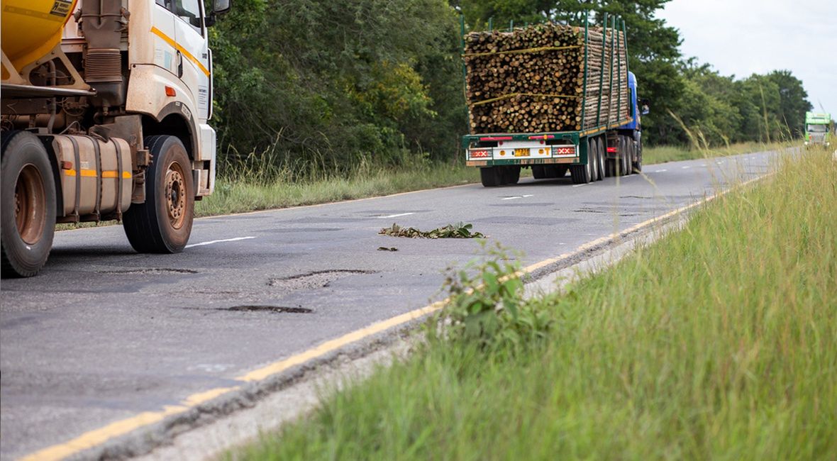 Wielu kierowców w Tanzanii nie ma trójkątów ostrzegawczych, więc jak coś się dzieje, kładą na drodze gałęzie takie jak ta