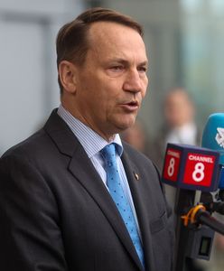 Sikorski zapowiedział misję NATO. Kreml zareagował natychmiast