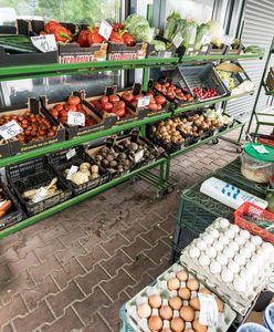 "Przysmak jesieni" pojawił się na targowiskach. Ceny są zaporowe