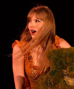 Zachowanie fanów wytrąciło ją z równowagi. Taylor Swift zwróciła się do nich ze sceny: "Przeraża mnie to"