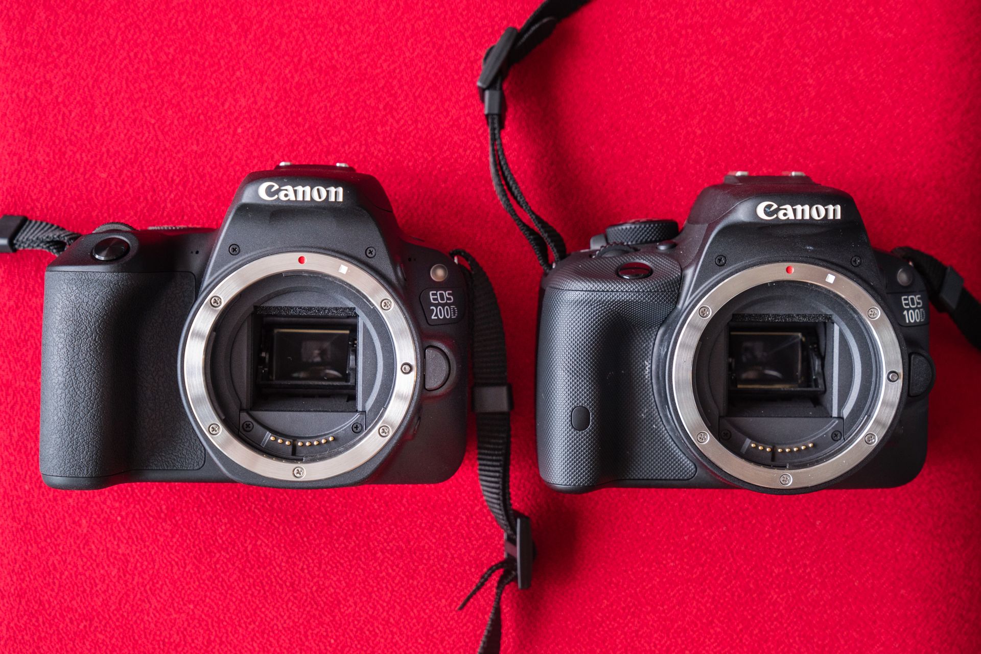 Canon EOS 200D - najlżejsza lustrzanka z odchylanym ekranem w naszych rękach 8