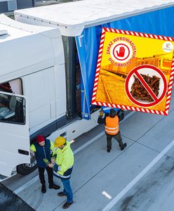 Tony maślaków zatrzymane na granicy. Uznano je za niejadalne