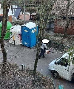 Dmuchawy do liści nielegalne? Część miast zakazała ich używania, ale są kruczki prawne