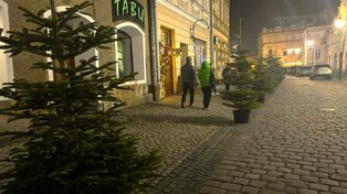 Jarosław: Mieszkańcy przystroją choinki na ulicy Grodzkiej
