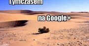 Pogromca Facebooka? Wolne żarty, Google+ to wydmuszka