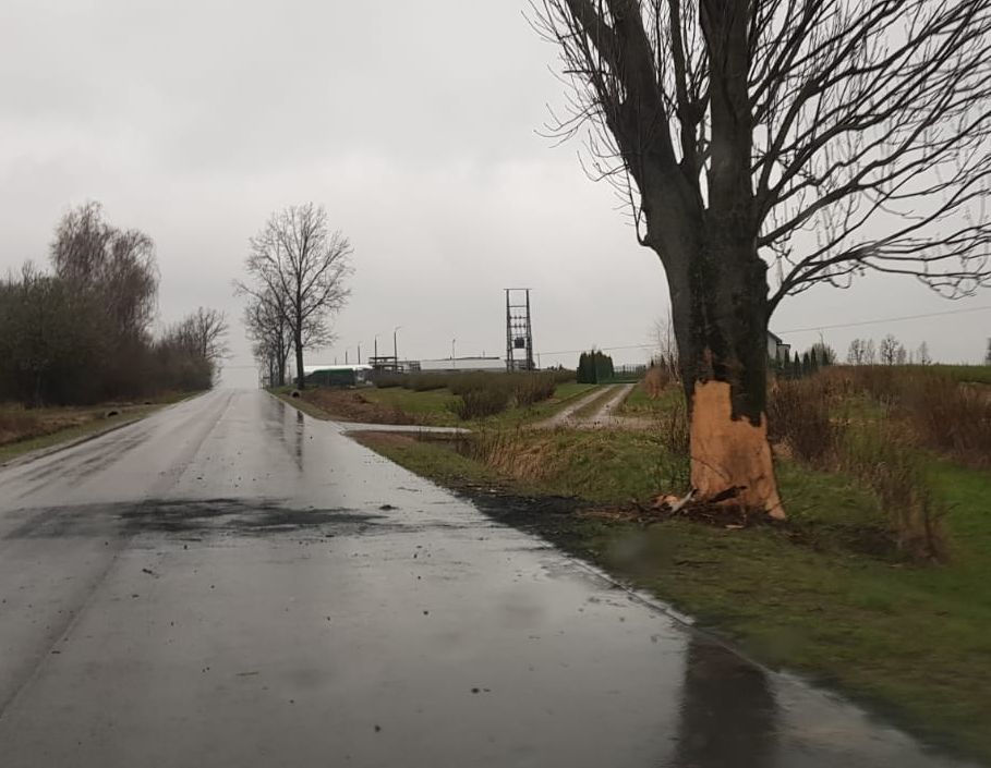 Renault uderzył w drzewo i zapalił się w Końskowoli