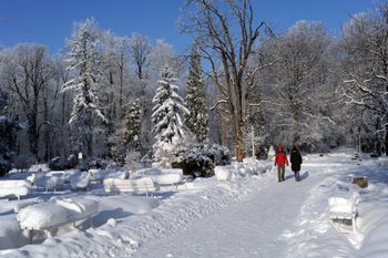 NFZ bezradny wobec „niedojazdów” do sanatoriów. Tysiące rezygnacji