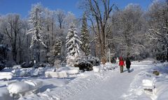 NFZ bezradny wobec „niedojazdów” do sanatoriów. Tysiące rezygnacji