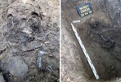 Ponure odkrycie w Wielkopolsce. Z ziemi wykopano szczątki żołnierza