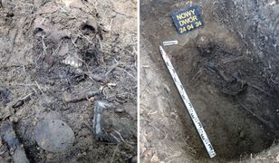 Ponure odkrycie w Wielkopolsce. Z ziemi wykopano szczątki żołnierza