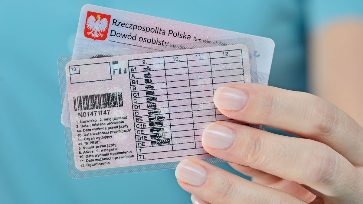 Tomasz Warszewski
prawo jazdy, polska, dokument, kategoria, mandat, policja, egzamin, b, c, osobowe, autobusy, kurs, nauka jazdy, koszty, polskie, wypadek, kontrola, ubezpieczenie, droga, ulica, dowód osobisty