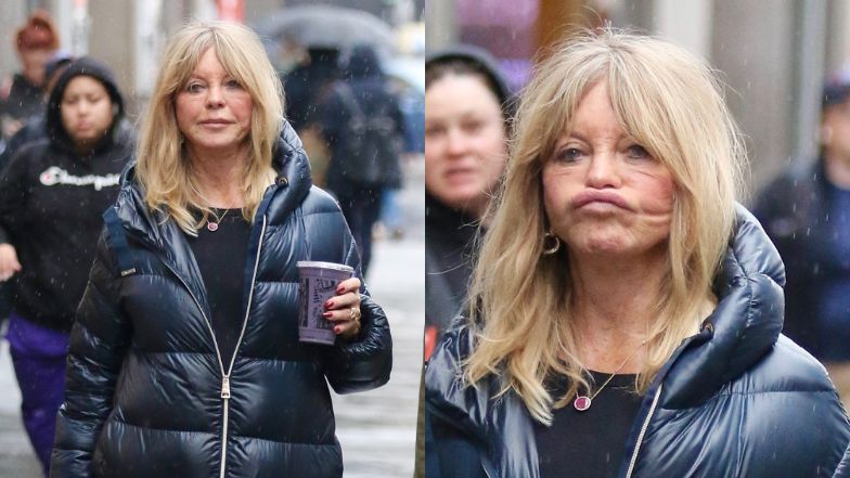 77-letnia Goldie Hawn wydyma obrzmiałe usta, przechadzając się uliczkami Nowego Jorku (ZDJĘCIA)