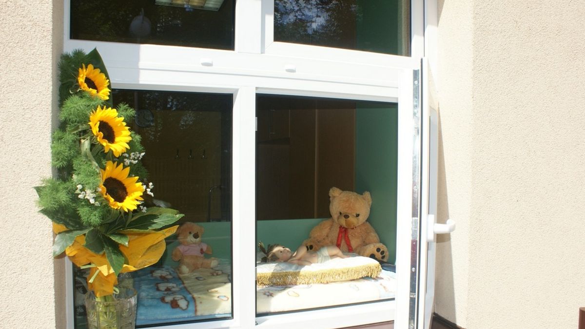 Okno życia w Mikołowie - Borowej Wsi