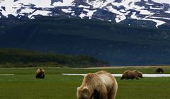 Fokus TV liderem kanałów dokumentalnych, TVP Historia wyprzedziła TVN Turbo